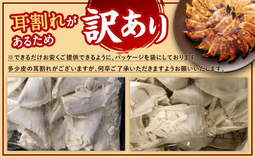 【国産冷凍生餃子】大きめ 餃子 100個 ＆ おまけ とんこつ ラーメン 10食 付き 合計4kg