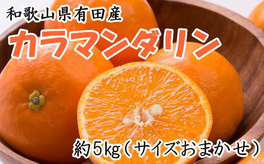 和歌山県有田産カラマンダリン約5kg（サイズおまかせ）