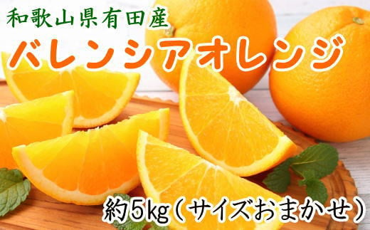 和歌山県有田産バレンシアオレンジ約5kg（サイズおまかせ）※2023年6月下旬～7月下旬ごろ順次発送予定（お届け日指定不可）