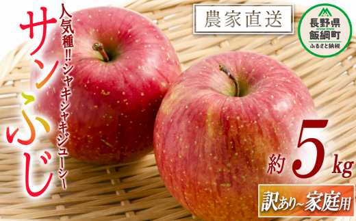 りんご  サンふじ ５Kg  訳あり ～ 家庭用 【 リンゴ 林檎 訳アリ 果物 フルーツ 不揃い 長野県産 長野  １００００円 １００００ 】 農家応援企画 令和5年収穫分 沖縄および離島への配送不可 2023年 11月下旬頃から順次発送予定 長野県 飯綱町 [0582] 251482 - 長野県飯綱町