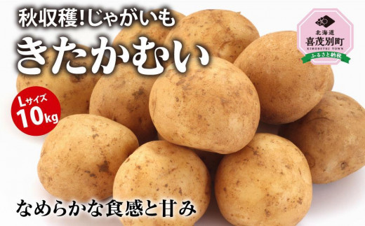 2023年秋収穫！じゃがいも】きたかむい10Ｋｇ 851606 - 北海道喜茂別町