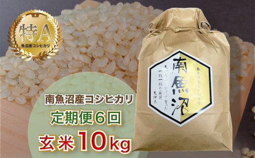 令和5年産 6ヶ月定期便【玄米10㎏/6回】「越後湯沢産」【湯沢産