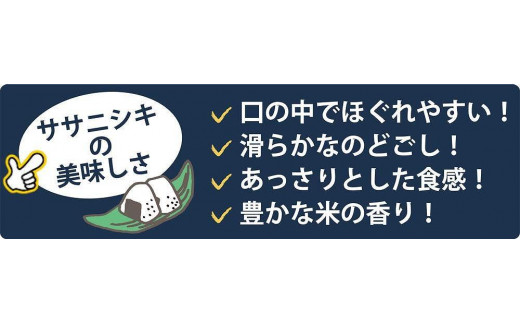 アイテムID:315102の画像2枚目