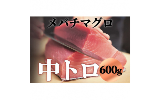 本マグロ 中トロ 600g(冷凍・サク)[0024-0006] - 千葉県鴨川市