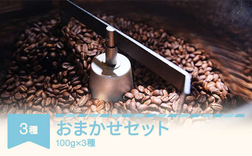 コーヒー おまかせセット 100g×3種セット 豆 rv-cfomx300-m