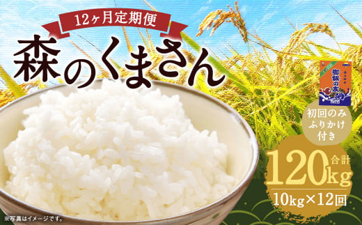 【12回定期便】森のくまさん 10kg (初回 ご飯の友 付き) 計120kg 熊本 米 ふりかけ 御飯の友