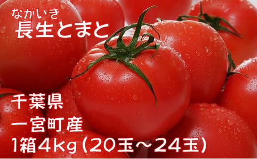 長生（ながいき）とまと１箱（20～24個(約4kg)）一宮町産 トマト