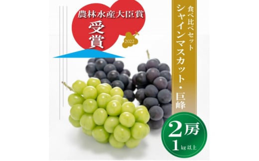 農林水産大臣賞受賞!＞シャインマスカット ・巨峰 2房 1kg以上※2023年9