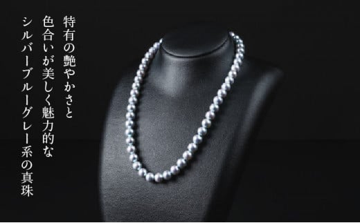 あんぶれら美品✨あこや真珠　ネックレス　パール　ブルーグレー　7.0〜7.6mm