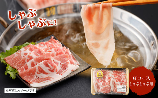 【定期便年6回/偶数月発送】いもこ豚(彩) バラエティセット 1.6kg