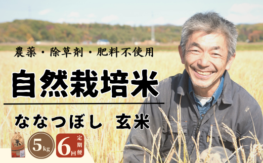 ＜令和6年産新米＞半年間（6カ月）毎月届く！自然栽培米「角田玄米」 5kg定期便 501561 - 北海道厚真町