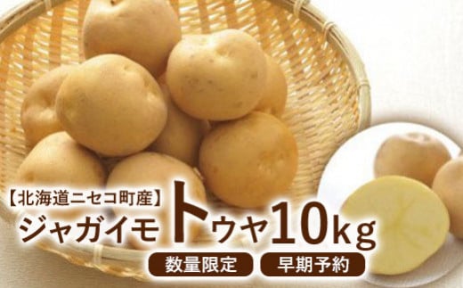 [北海道ニセコ町産]ジャガイモ とうや 10kg [数量限定・2024年早期予約・9月末より出荷予定]
