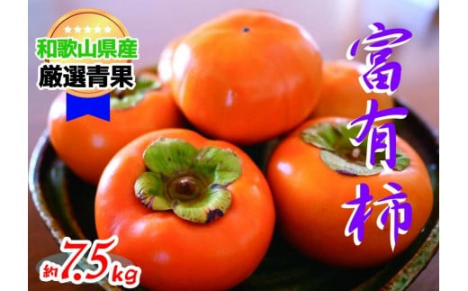 ★11月発送★トロっとまろやか　富有柿(約7.5kg)