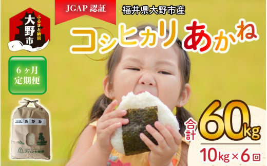 【令和5年産】【6ヶ月定期便】福井県大野市産 JGAP認証 コシヒカリ「あかね」10kg [F-007001]