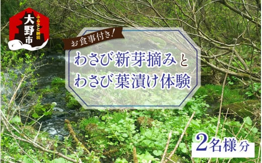 【食事付き】わさび新芽摘みとわさび葉漬け体験（2名様分）