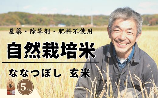 ＜令和6年産新米＞北海道で育った自然栽培米「角田玄米」 5kg　 345325 - 北海道厚真町