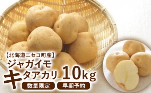 [北海道ニセコ町産]ジャガイモ キタアカリ 10kg [数量限定・2024年早期予約・9月末より出荷予定]