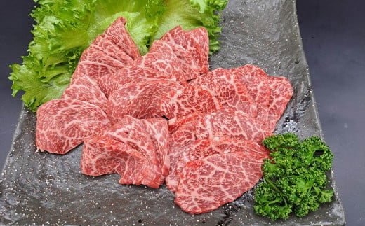 【数量限定】 熊本県産 A5等級 黒毛和牛 和王 ウデ・モモ 焼肉用 約400g