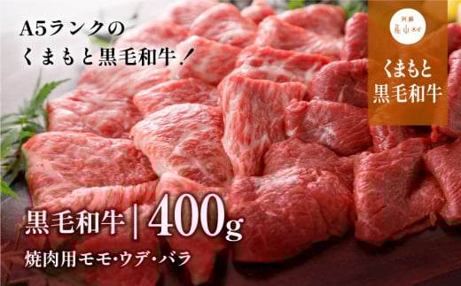 A5ランク くまもと黒毛和牛 焼肉用 400g(産山村) 851475 - 熊本県産山村