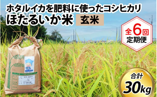 【訳あり】ほたるいか米（玄米５kg）×6回 計30kg【6ヶ月定期便】 714791 - 富山県滑川市