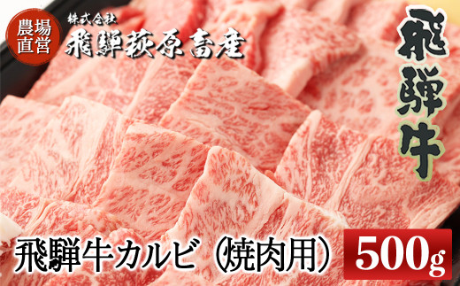 飛騨牛カルビ焼肉用（500g）最高級 国産 牛肉 ブランド牛  和牛  焼き肉 ギフト 贈答 【冷凍】