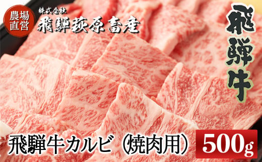 飛騨牛カルビ焼肉用(500g)最高級 国産 牛肉 ブランド牛 牛 焼き肉 ギフト 贈答 飛騨牛 焼き肉 焼肉 [冷凍]