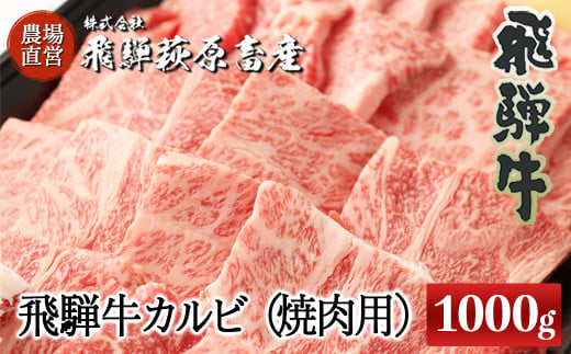 たっぷり大容量！飛騨牛カルビ焼肉用（1kg）最高級 国産 牛肉 ブランド牛  和牛 焼肉 焼き肉用 牛 肉 肉ギフト 贈答 【冷凍】