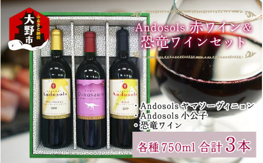 Andosols赤ワイン&恐竜ワインセット 296937 - 福井県大野市