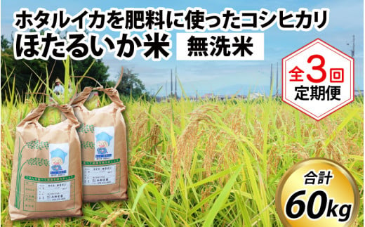 【訳あり】ほたるいか米（無洗米20kg）×3回 計60kg【3ヶ月定期便】 714805 - 富山県滑川市