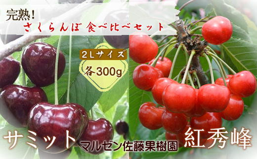 5-012-022 さくらんぼ食べ比べセットA各300g(サミット・紅秀峰) 814836 - 北海道増毛町