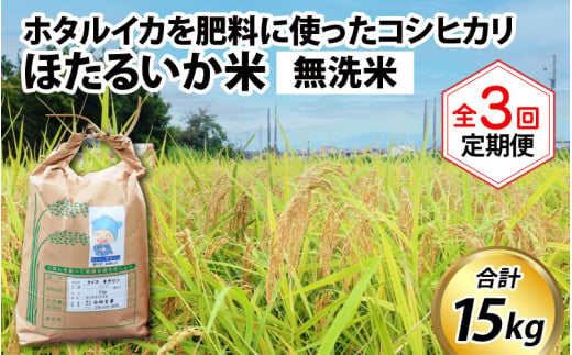 【訳あり】ほたるいか米（無洗米５kg）×3回 計15kg【3ヶ月定期便】 714785 - 富山県滑川市