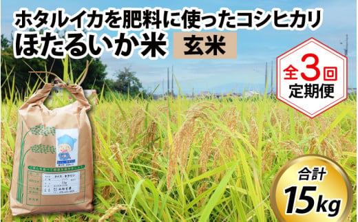 【訳あり】ほたるいか米（玄米５kg）×3回 計15kg【3ヶ月定期便】 714782 - 富山県滑川市