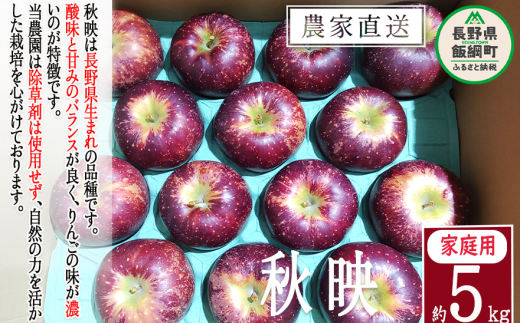 りんご 秋映 家庭用 5kg 松澤農園 沖縄県への配送不可 2023年10月上旬