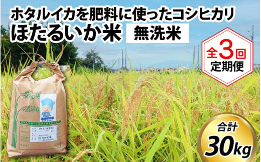 【訳あり】ほたるいか米（無洗米10kg）×3回 計30kg【3ヶ月定期便】 714784 - 富山県滑川市