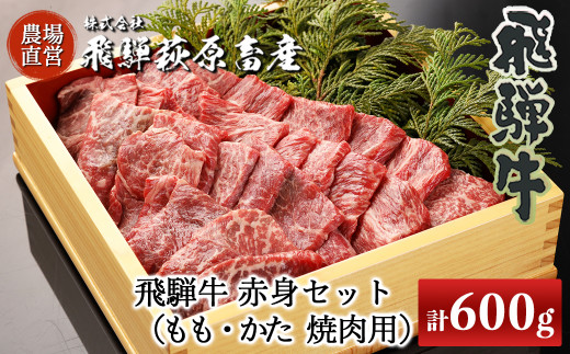 飛騨牛赤身焼肉セット 600g（もも焼肉 300g・かた焼肉 300g）最高級 国産 牛肉 ブランド牛  和牛 焼き肉 ギフト 贈答 【冷凍】