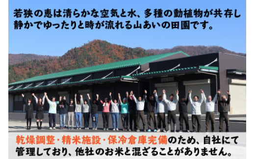 福井県小浜市のふるさと納税 【先行予約】【令和6年産 新米】 福井県産 あきさかり 白米 10kg 若狭の恵 【9月下旬より順次発送】