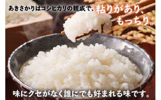 福井県小浜市のふるさと納税 【先行予約】【令和6年産 新米】 福井県産 あきさかり 白米 10kg 若狭の恵 【9月下旬より順次発送】