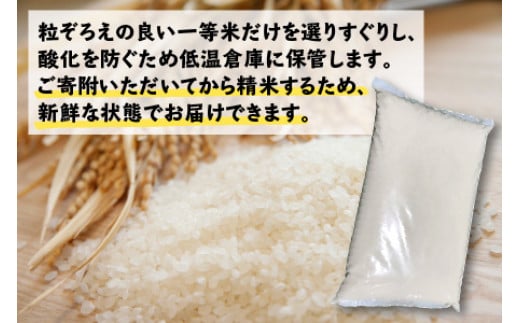 福井県小浜市のふるさと納税 【先行予約】【令和6年産 新米】 福井県産 あきさかり 白米 10kg 若狭の恵 【9月下旬より順次発送】