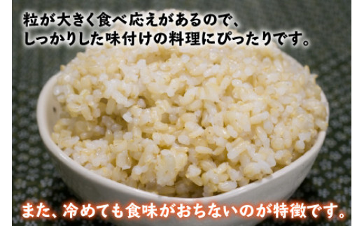 令和6年産 新米】福井県産つきあかり 玄米 30kg 若狭の恵 - 福井県小浜市｜ふるさとチョイス - ふるさと納税サイト