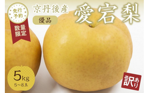【先行予約／数量限定30】【訳あり】愛宕梨優品5kg（2023年12月上旬～発送）