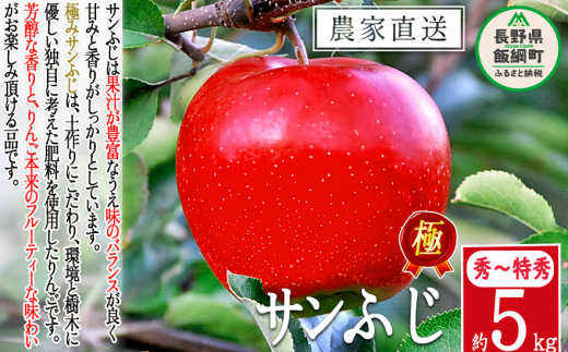 りんご 極み サンふじ 5kg こだわりの土作り 松澤農園 2023年11月下旬