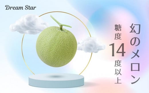 さぬきメロン Dream Star 1.1kg以上｜メロン 糖度 14度以上 甘い フルーツ 果物 くだもの 特産 ふるさと 坂出市 香川 さぬき 食品 人気 おすすめ 送料無料 788877 - 香川県坂出市