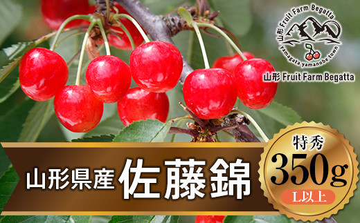 《先行予約》山形県産 さくらんぼ 佐藤錦 バラ詰め 350g 特秀 L以上 サクランボ フルーツ 果物 F21A-344 670519 - 山形県山辺町