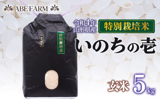 特別栽培米　いのちの壱　5㎏　玄米　ABE FARM