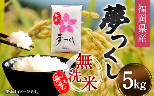 【令和5年産】福岡県産 夢つくし 無洗米 5kg お米 ご飯 米 1170059 - 福岡県直方市