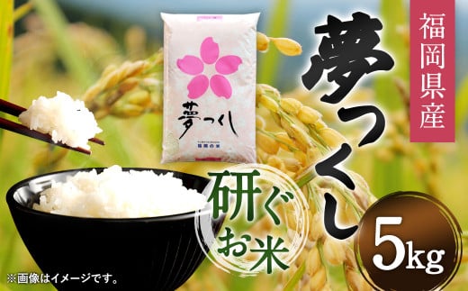 福岡県産 夢つくし 研ぐお米 5kg お米 ご飯 米
