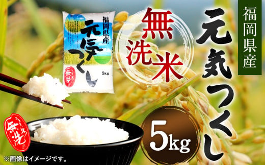 福岡県産 元気つくし 無洗米 5kg お米 ご飯 米