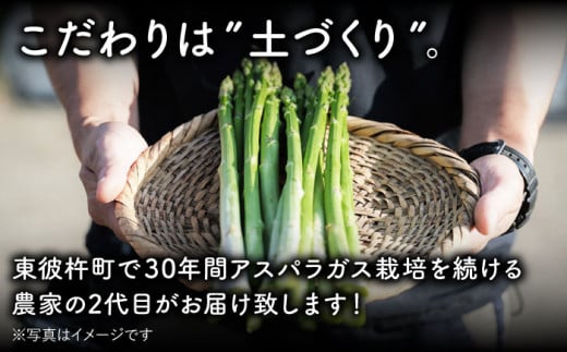 夏芽アスパラガス1kg(L以上) アスパラガス アスパラ 野菜 新鮮 夏野菜 あすぱらがす あすぱら