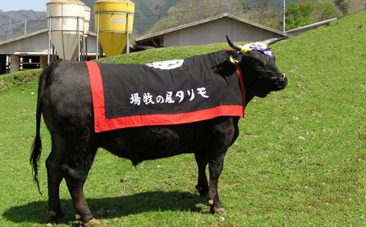 京都丹波の豊かな自然の中で愛情たっぷりに育てられ、名実ともに優れた「京都肉」に仕上がります。