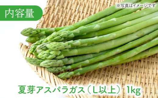 夏芽アスパラガス1kg(L以上) アスパラガス アスパラ 野菜 新鮮 夏野菜 あすぱらがす あすぱら